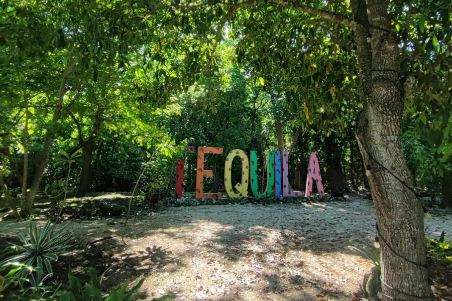 Articulo 1 : ¡Viva Mexico!