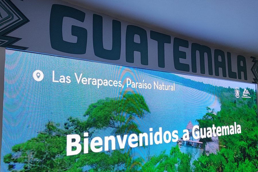 Articulo 6 : ¡Bienvenidos a Guatemala et au pestacle de Noël!