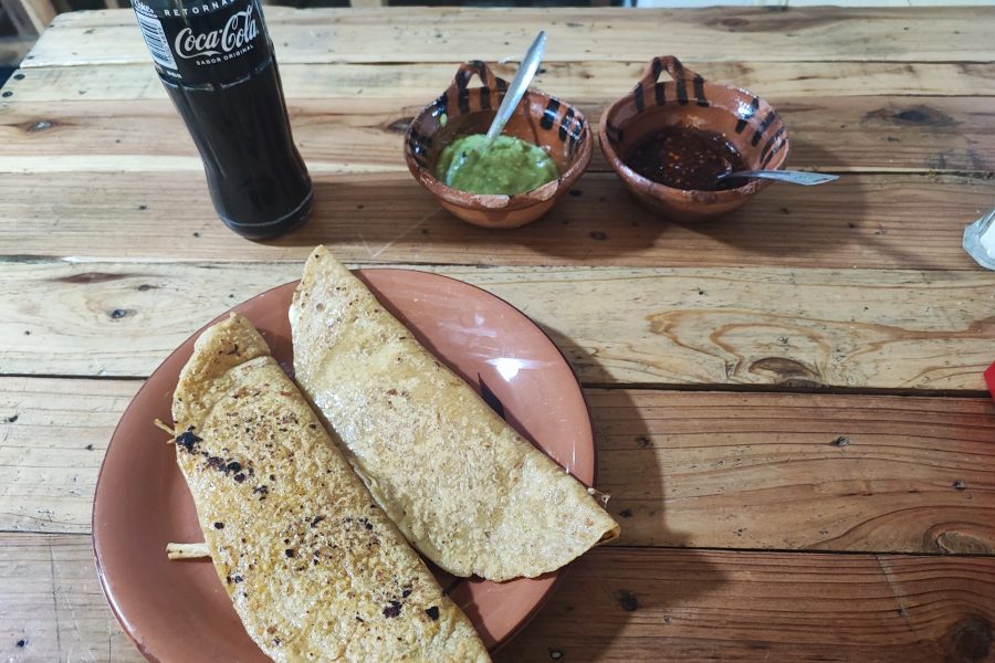 Articulo 9 : Pourquoi il n’y a pas de fajitas au Mexique ??